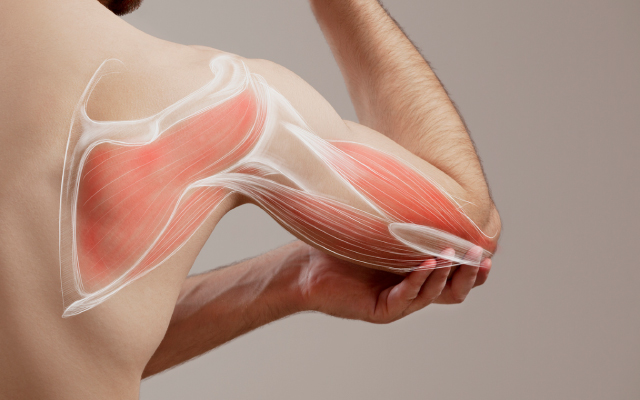 Impact du traitement par upadacitinib sur la douleur non nociceptive et les symptômes résiduels dans la spondyloarthrite axiale