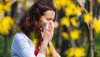 Allergies&nbsp;: l'indice pollen remplace la carte historique du RNSA