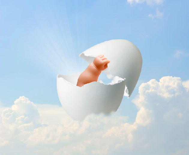 Quel est le timing optimal pour une cong�lation ovocytaire&nbsp;?