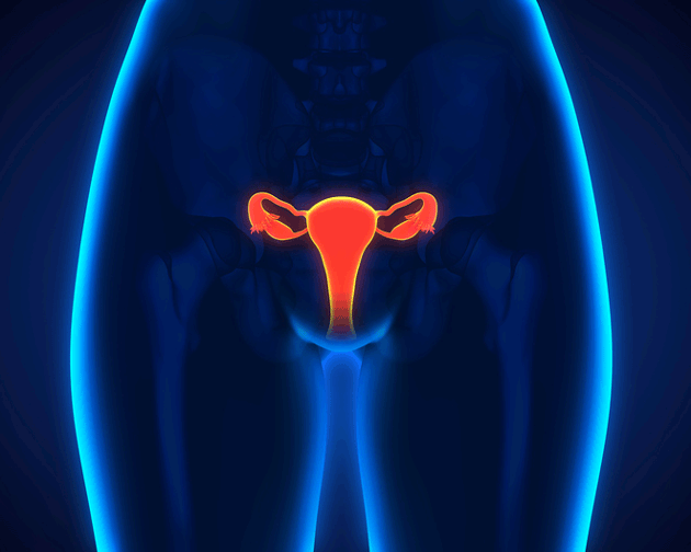 A la unePremi&egrave;re &eacute;tude positive avec l'immunoth&eacute;rapie dans les cancers de l'ovaire&nbsp;!