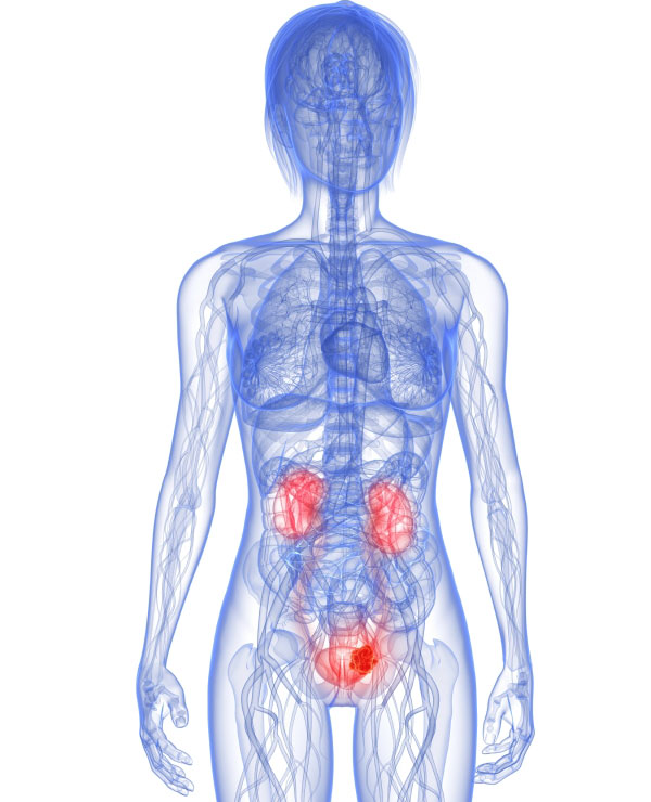 Profilage g�n�tique des tumeurs de la voie excr�trice par s�quen�age complet des exomes