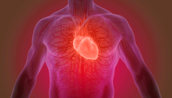Risque cardiovasculaire ; le match entre inhibiteurs de SGLT2 et de DPP-4 dans le diabte de type 2