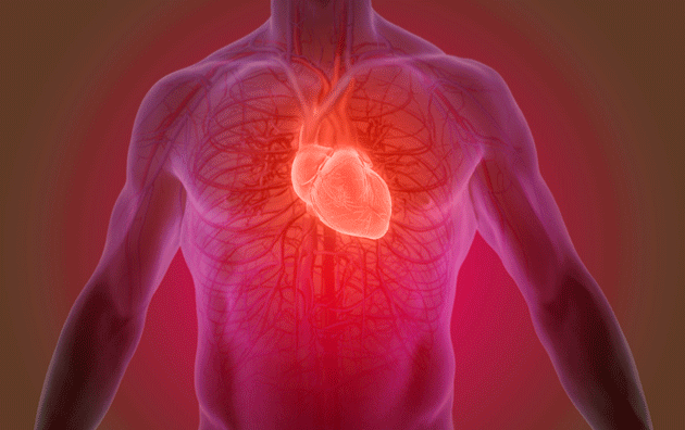 Traitement de la goutte par colchicine : un possible bénéfice cardiovasculaire ?
