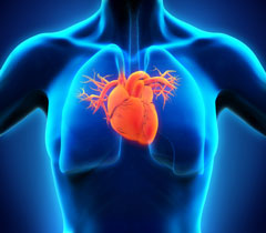 Atteinte cardiaque associe au syndrome catastrophique des antiphospholipides (CAPS) ? Une analyse du registre CAPS