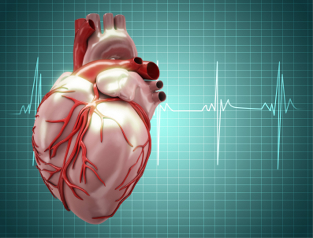 Le premier essai randomis de la mdecine traditionnelle chinoise montre un bnfice dans l'insuffisance cardiaque