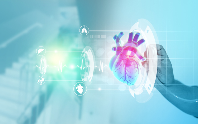 Développement et validation externe d'un modèle d'apprentissage automatique pour le dépistage précoce de la calcification des valves cardiaques chez les patients dialysés : une étude multicentrique