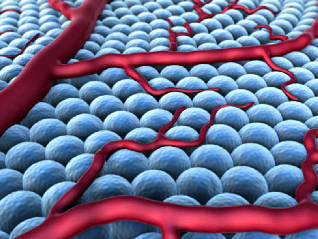 Le blocage du GPR55&nbsp;: une nouvelle cible th�rapeutique potentielle dans le traitement par antiangiog�nique du cancer de l'ovaire