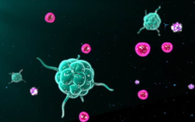 Les Nets&nbsp;: une nouvelle cible dans le traitement du cancer&nbsp;?