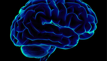 11 au 17 mars 2024&nbsp;: Semaine du cerveau