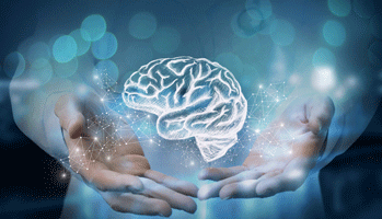 Altrations morphomtriques corticales communes et distinctes dans cinq symptmes neuropsychiatriques de la maladie de Parkinson