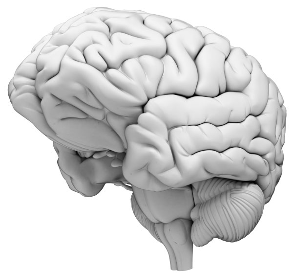 Syndromes parkinsoniens induits par les neuroleptiques&nbsp;: quelles le�ons tirer des �tudes neuropathologiques&nbsp;?