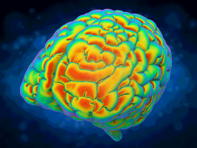 Imagerie tau, il faudra attendre encore un peu&nbsp;!