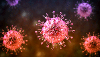 Cytom�galovirus&nbsp;: toujours pas de d�pistage syst�matique chez la femme enceinte