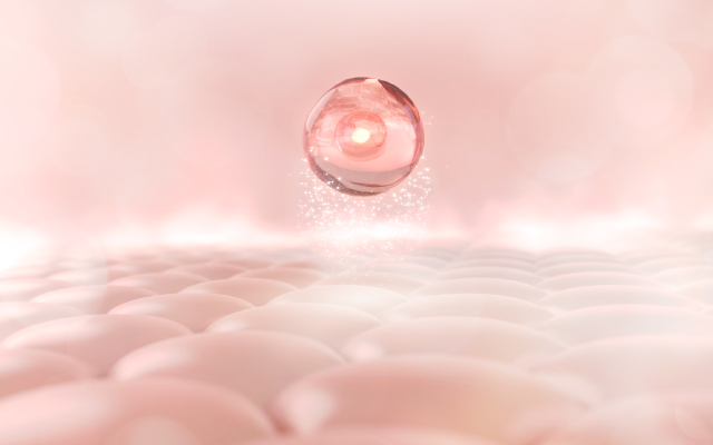 Le nemolizumab a une efficacit&eacute; &agrave; 16 semaines comparable aux autres bioth&eacute;rapies de la dermatite atopique