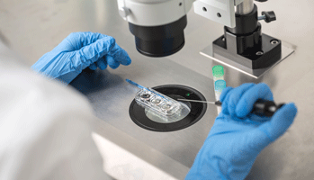 Cancer&nbsp;: les enfants n�s par AMP ne pr�sentent pas, � priori, de surrisque