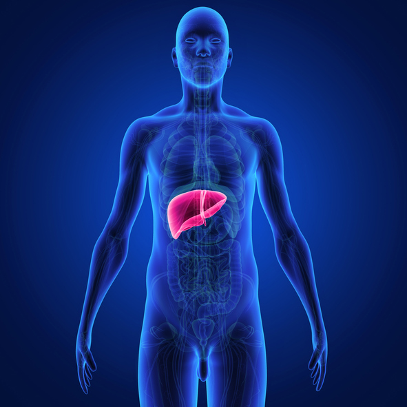 Impact des �v�nements thromboemboliques veineux sur la survie des patients atteints d'un carcinome h�patocellulaire