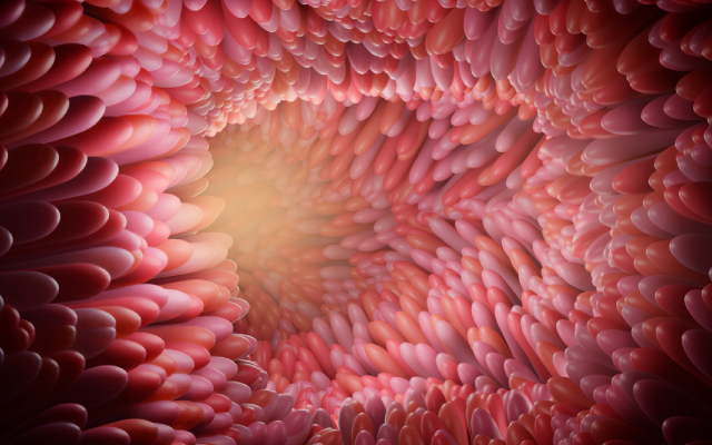 Rallonger le d&eacute;lai entre la fin de la radio-chimioth&eacute;rapie et la chirurgie n'am&eacute;liore pas le pronostic pour les cancers du rectum localement avanc&eacute;s