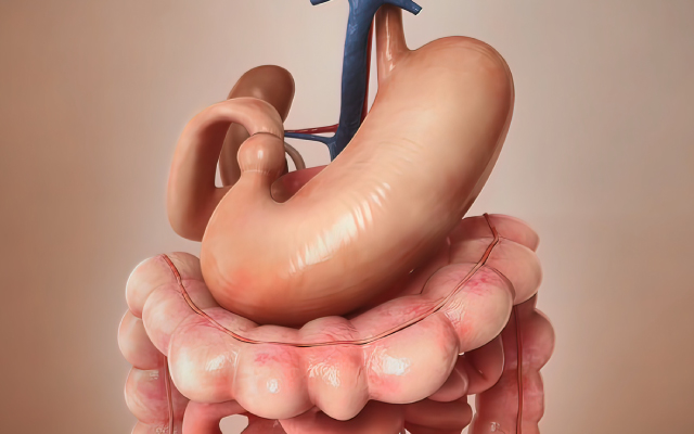 Comment d&eacute;finir la futilit&eacute; d'une intervention de chirurgie oncologique&nbsp;?