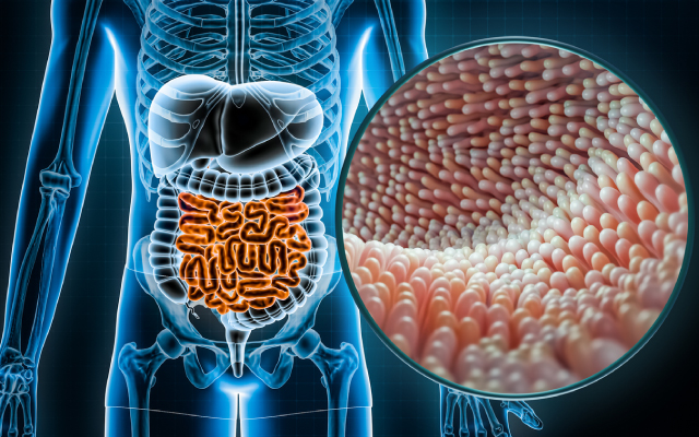 Quid de la rintroduction d'un traitement anti-EGFR en 3me ligne du cancer colorectal mtastatique aprs acquisition d'une mutation de rsistance ? Verdict !