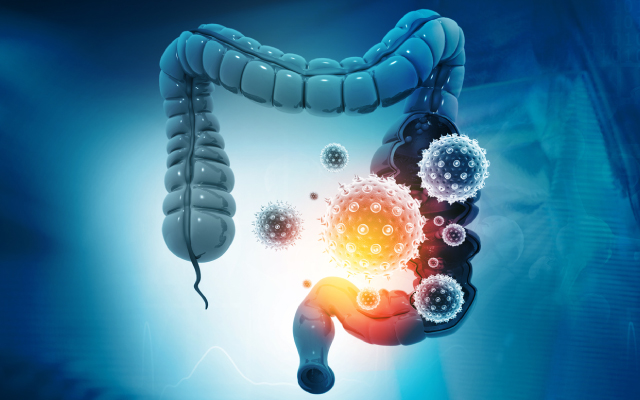 Place de l'oxaliplatine dans le traitement adjuvant des cancers coliques rsqus de stade III chez les patients gs :  partir de l'analyse poole de 12 essais randomiss