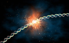 Mutations ESR1&nbsp;: un biomarqueur de plus pour demain&nbsp;?