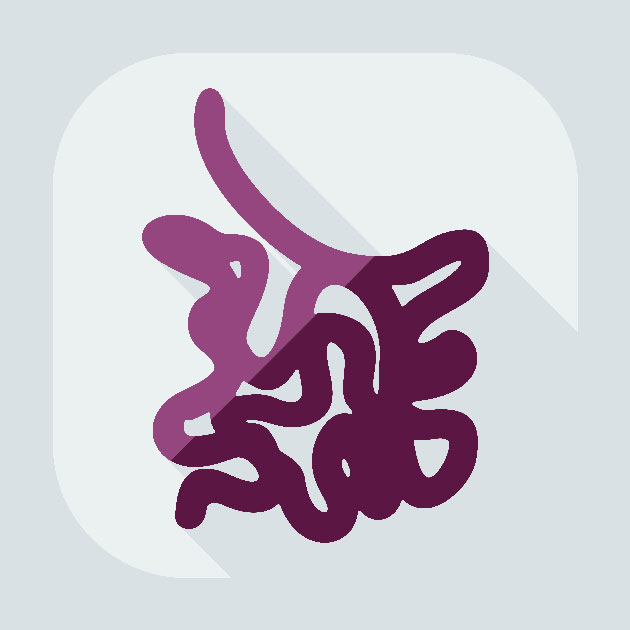 De l'intestin au cerveau&nbsp;: le microbiote est-il un nouveau paradigme dans le traitement de la maladie de Parkinson&nbsp;?