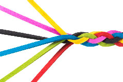 Du nouveau concernant le dialogue entre la voie HER2 lorsqu�elle est inhib�e et celle du RE&nbsp;: une piste vers de nouvelles strat�gies th�rapeutiques&nbsp;?