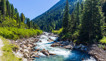 Pollution environnementale&nbsp;: l'essentiel pour les m&eacute;decins en capsules vid&eacute;o