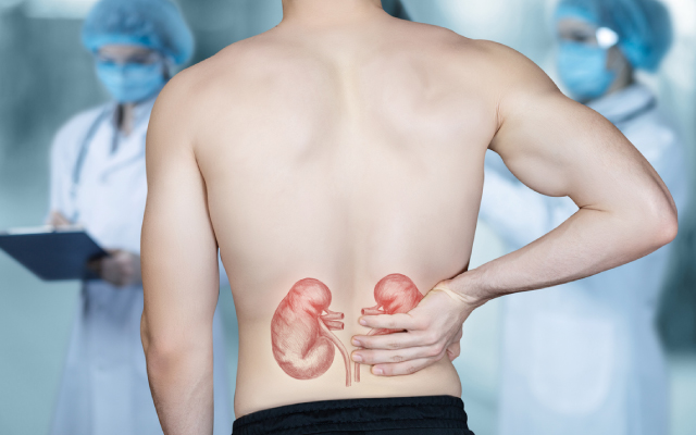 Inhibiteurs de SGLT2 chez les patients transplants rnaux diabtiques et non diabtiques
