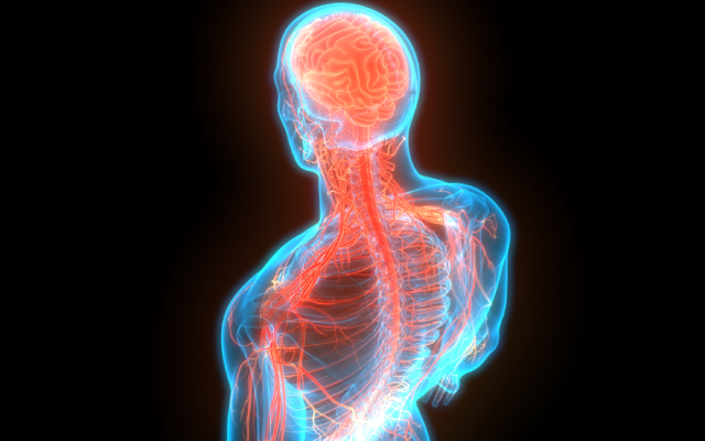 Troubles du contrle des impulsions et prise de dcision base sur l'effort chez les patients atteints de la maladie de Parkinson et bnficiant d'une stimulation crbrale profonde du noyau sous-thalamique