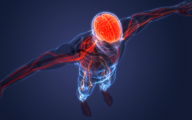 L'influence de l'entranement EEG-biofeedback et des ondes bta en normoxie et en hypoxie normobare sur le dvelopp couch chez les athltes de judo