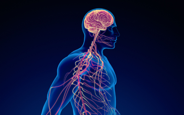 Une revue de littrature sur l'axe microbiote-intestin-cerveau et les troubles neurologiques