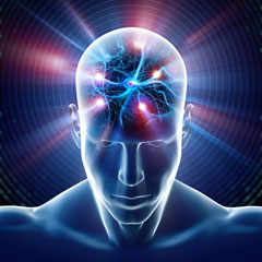 Effets de la stimulation unilatrale  haute frquence du noyau sous-thalamique sur le comportement d'vitement du risque dans un modle partiel de la maladie de Parkinson  base de 6-hydroxydopamine