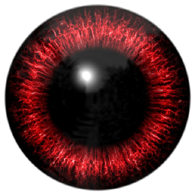 Une cytokine musculaire, l�irisine, un nouveau marqueur de l�insulinor�sistance (IR) dans le syndrome des ovaires polykystiques (SOPK)