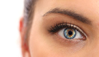 Facteurs pr&eacute;dictifs, modalit&eacute;s de d&eacute;pistage et recommandations de prise en charge de la toxicit&eacute; oculaire li&eacute;e &agrave; l'hydroxychloroquine