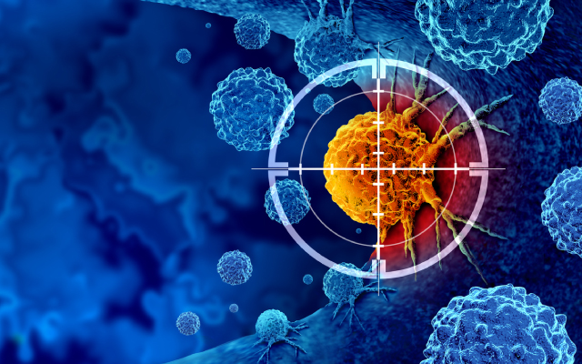 L'immunothérapie dans les cancers gynécologiques à cellules claires : une piste d'avenir