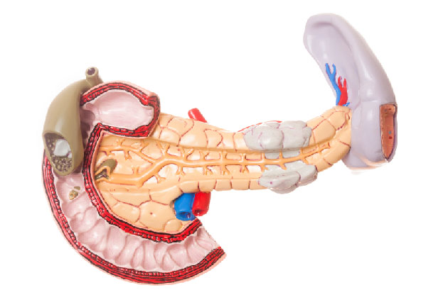 A la uneASPEN&nbsp;: prise en charge des TNE pancr&eacute;atiques asymptomatiques non fonctionnelles (NF-PanNET) &le; 2 cm