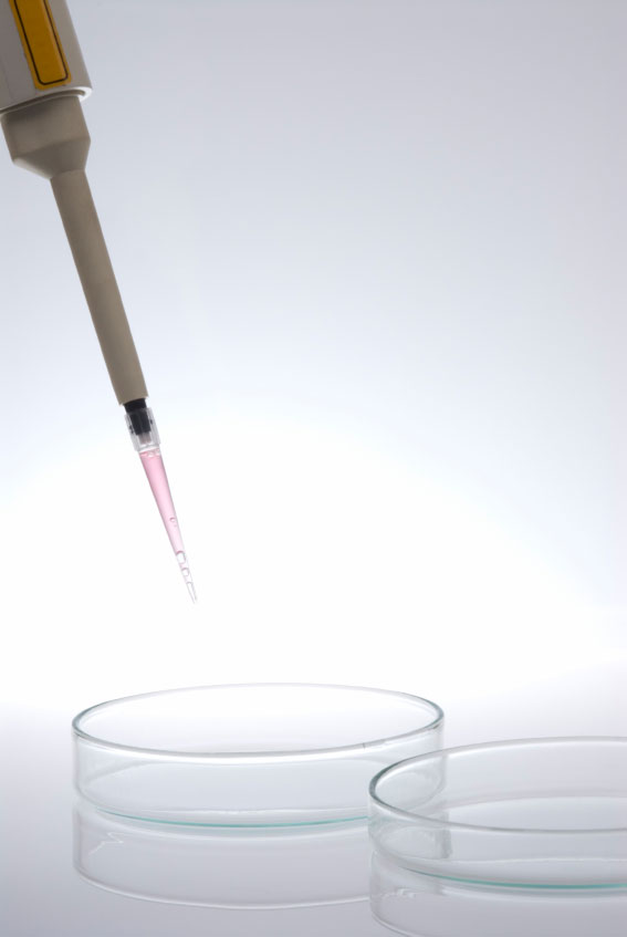 Etude randomis�e de non inf�riorit� comparant le d�veloppement embryonnaire en milieu s�quentiel et global, en syst�me time lapse