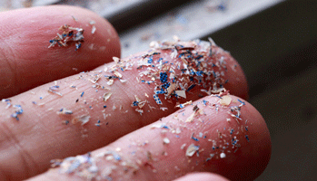 Microplastiques : comment ils bouleversent - aussi - le microbiote humain