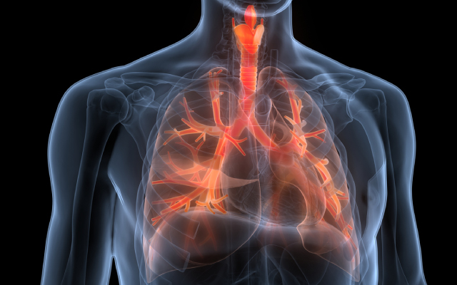 A la uneBioth&eacute;rapies dans l'asthme&nbsp;: choisir le bon traitement, savoir quand changer ou arr&ecirc;ter