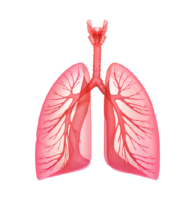 Analyse interm&eacute;diaire de la survie globale dans IMPower 010
