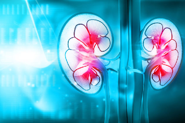 Effets rnaux et cardiovasculaires de la dapagliflozine chez les patients atteints de nphropathie diabtique et non diabtique : analyse de sous-groupe de l'essai DAPA-CKD