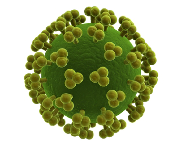 Tubulopathie et d�clin de la fonction r�nale chez les patients avec une n�phropathie � VIH