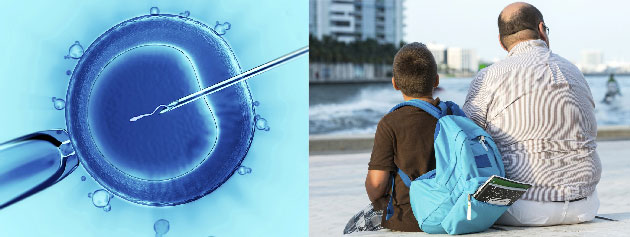 Des petits ARN drivs des ARN de transfert du spermatozode contribuent  l'hritage intergnrationnel d'un trouble mtabolique acquis