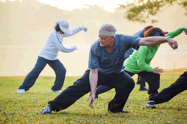 Une tude pilote sur l'entranement multimodal  haute frquence ax sur le tai-chi chez les personnes atteintes de la maladie de Parkinson