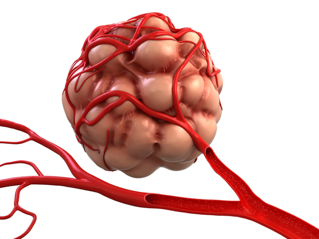 L'ost�oprot�g�rine, une nouvelle cible de th�rapie antitumorale et antiangiog�nique&nbsp;?