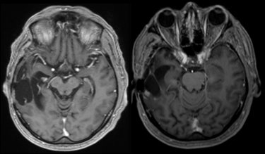 Quelle est la vraie r�ponse&nbsp;?