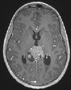 Apparences trompeuses