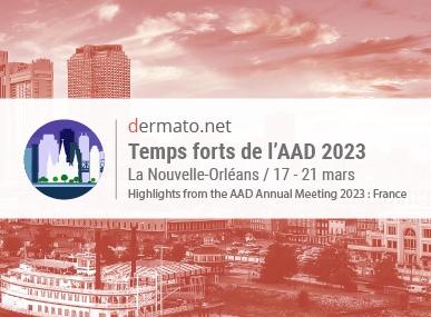 comptes rendus, Temps forts de l'AAD