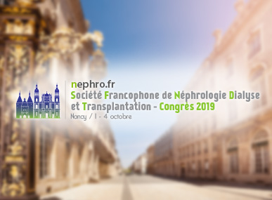 comptes rendus, 4e Congrs de la SFNDT